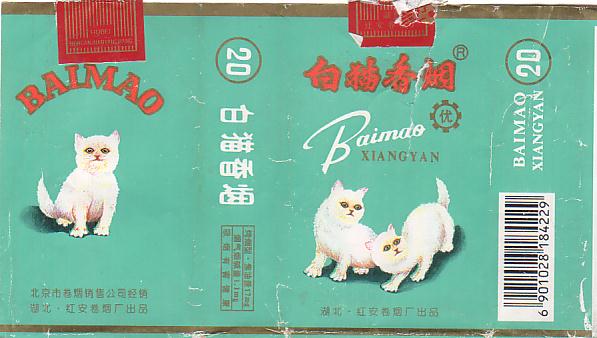 Baimao 03.JPG