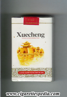 xuecheng ks 20 s china