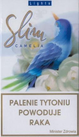 camelia slim lights l 20 h poland