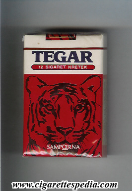 tegar sampoerna ks 12 s indonesia