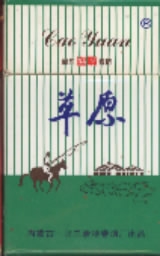 Caiyuan 01.jpg