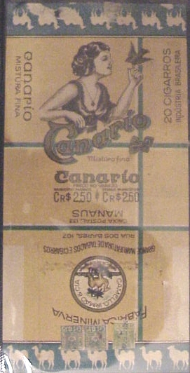 Canario 01.JPG