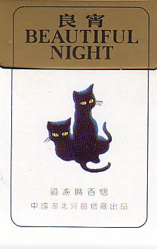 Beautiful night 02.JPG
