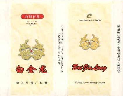 Baijinlong 13.jpg