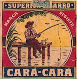 Cara cara 01.jpg