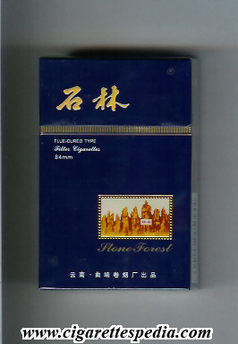stone forest with picture 1 ks 20 h blue china