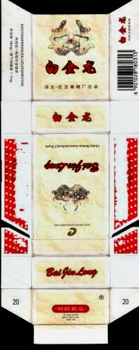 Baijinlong 11.jpg