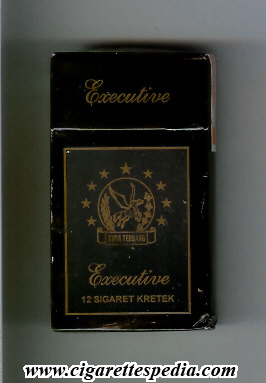 kuda terbang executive 0 9l 12 h indonesia