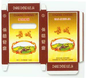 Changcheng 04.jpg