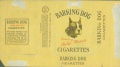Thumbnail for version as of 21:19, 19 February 2007