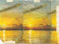 Thumbnail for version as of 18:57, 19 March 2007