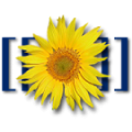 Thumbnail for version as of 14:10, 10 July 2006