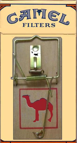 File:0000.JPG