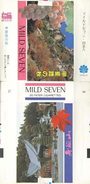 File:Msss81 085.jpg