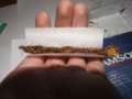 Thumbnail for version as of 15:00, 11 January 2010