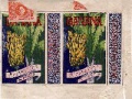 Thumbnail for version as of 18:08, 31 January 2007