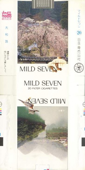 File:Msss80 035.jpg